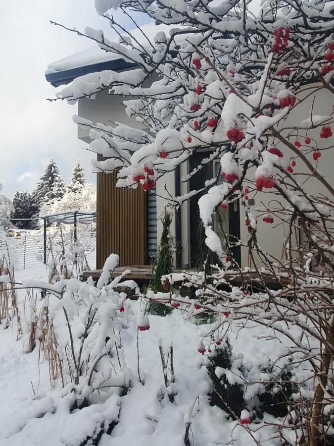 Ogrodowa 4 Apartamento Ustrzyki Dolne Exterior foto
